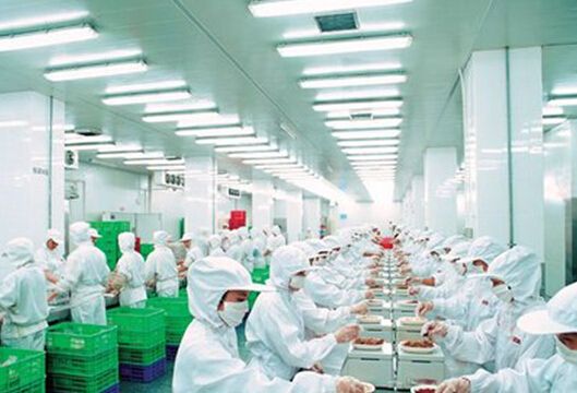 食品行业